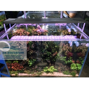 Đèn Led RGB Nala 60cm