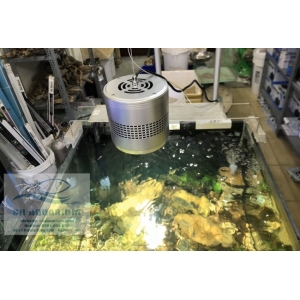 Đèn Led Trứng Bạc 50w LSH50
