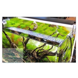ĐÈN LED ODYSSEA SLIM X300