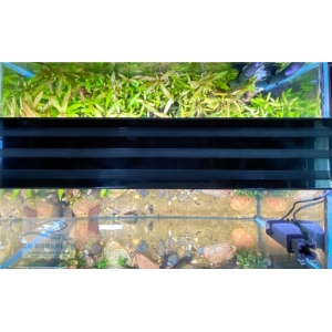 Đèn Led 5 Hàng Quanlong Siêu Sáng Đổi Màu 60cm