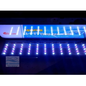 Đèn Led 5 Hàng Quanlong Siêu Sáng Đổi Màu 100cm