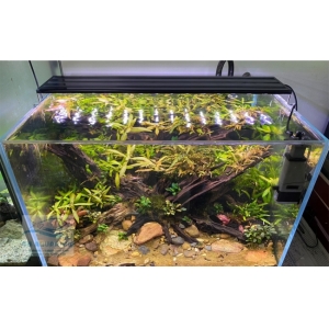 Đèn Led 5 Hàng Quanlong Siêu Sáng Đổi Màu 60cm