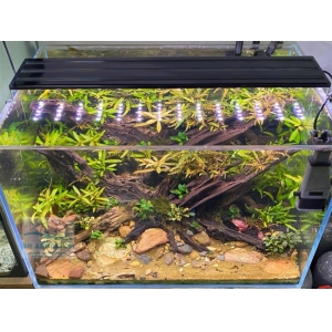Đèn Led 5 Hàng Quanlong Siêu Sáng Đổi Màu 60cm