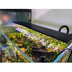 Đèn Led 5 Hàng Quanlong Siêu Sáng Đổi Màu 60cm