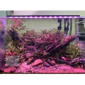 Đèn Led 5 Hàng Quanlong Siêu Sáng Đổi Màu 60cm