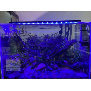 Đèn Led 5 Hàng Quanlong Siêu Sáng Đổi Màu 60cm
