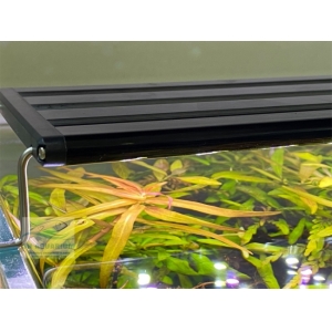 Đèn Led 5 Hàng Quanlong Siêu Sáng Đổi Màu 60cm