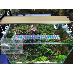 ĐÈN RGB AQUABLUE DEE-838 DÀNH CHO BỂ 60CM- 80CM