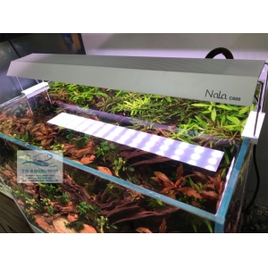 Đèn RGB Nala C600 thế hệ mới