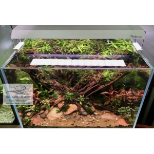 Đèn RGB Nala C600 thế hệ mới