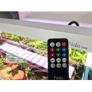 Đèn RGB Nala C600 thế hệ mới
