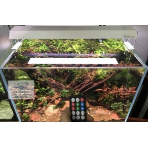 Đèn RGB Nala C600 thế hệ mới