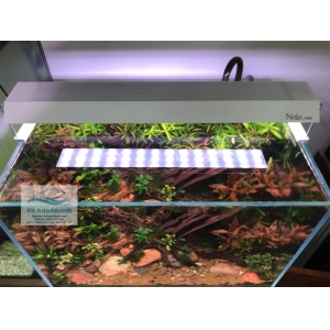 Đèn RGB Nala C600 thế hệ mới