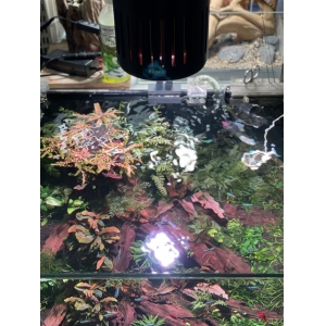 ĐÈN LED RỌI WRGB+UV KAOKUI-F08 90W