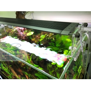 ĐÈN LED WEEK RAPTOR RGB D120CM