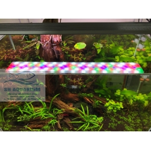 ĐÈN LED WEEK RAPTOR RGB D45CM