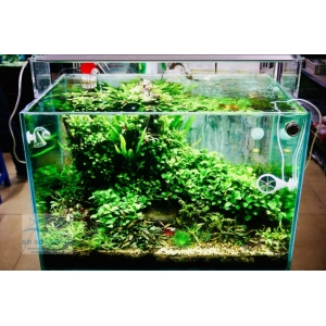 ĐÈN WEEK AQUA M600 PRO