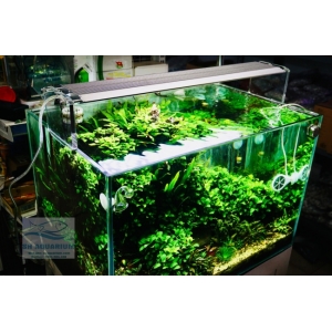 ĐÈN WEEK AQUA M1200 PRO
