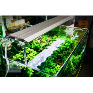 ĐÈN WEEK AQUA M1200 PRO