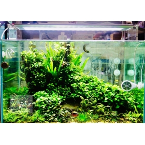 ĐÈN WEEK AQUA M1200 PRO
