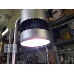 ĐÈN WEEK ROCKET RGB T70 Có Bảng Điều Khiển Màu