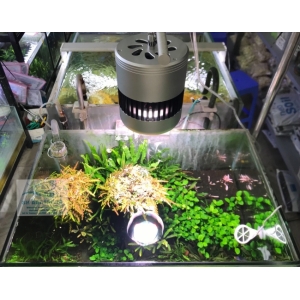 ĐÈN WEEK ROCKET RGB T70 Có Bảng Điều Khiển Màu