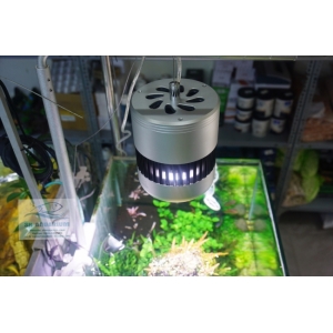 ĐÈN WEEK ROCKET RGB T70 Có Bảng Điều Khiển Màu