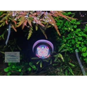ĐÈN WEEK ROCKET RGB T70 Có Bảng Điều Khiển Màu