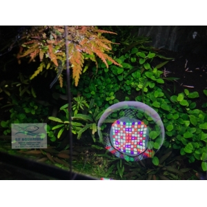 ĐÈN WEEK ROCKET RGB T70 Có Bảng Điều Khiển Màu