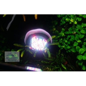 Đèn Week Rocket WRGB T30
