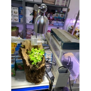 Đèn Xinma 5w 3 chế độ