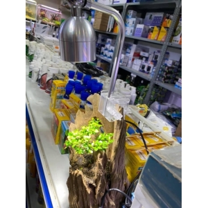 ĐÈN XINMA 7W 3 CHẾ ĐỘ
