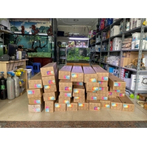 Đèn Chihiros WRGB II 10th Anniversary 120cm – Phiên bản kỷ niệm 10 năm đẳng cấp cho hồ thủy sinh
