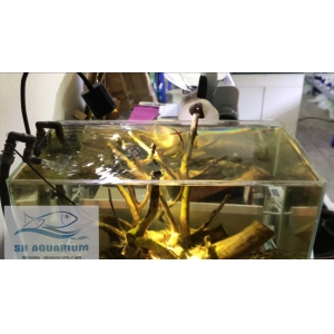 Đèn Led rọi kẹp thành bể 3/5/7w