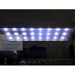 ĐÈN LED TRẮNG MÁNG NHÔM AQUABLUE SIÊU SÁNG 80cm