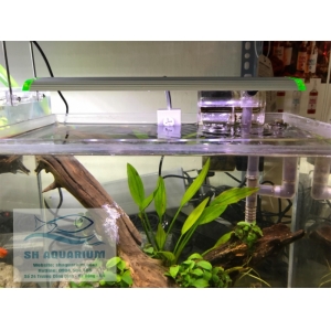 Đèn led kẹp Up Aqua N25