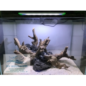Đèn led kẹp Up Aqua N25
