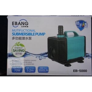 Bơm Ebang EB5000