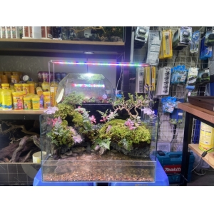 Đèn Led Coco WRGB R900
