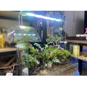 Đèn Led Coco WRGB R900