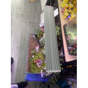 ĐÈN LED COCO WRGB R800