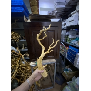 Lũa đỗ quyên