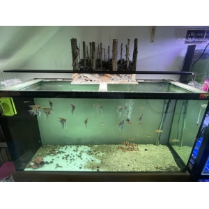 Đèn máng nhôm Kaokui RGB 3in1 M1000