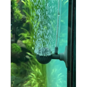Quả Sủi Eheim