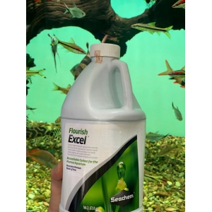 Seachem Excel can 2000ml – Dung dịch cung cấp CO2 lỏng hiệu quả cho hồ thủy sinh