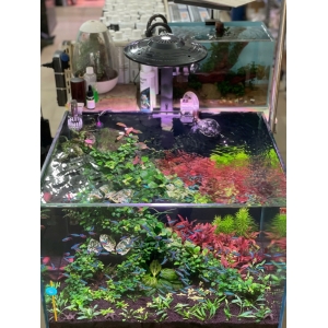 Đèn ELLY UFO – Giải Pháp Chiếu Sáng Cao Cấp Cho Hồ Cá Biotop, Hồ thuỷ sinh, Hồ cá cảnh